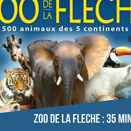 Legendes De La Piste - Sonights